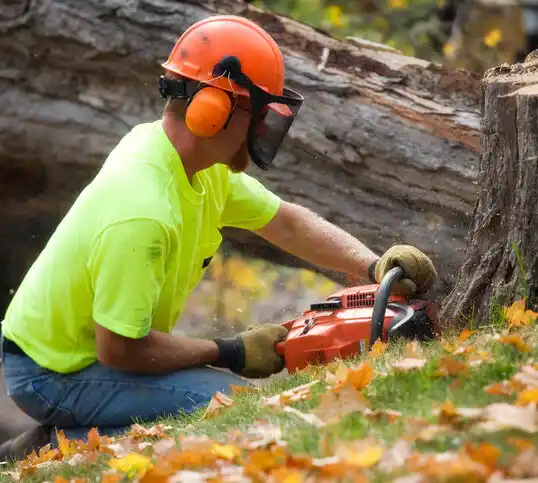 tree services Summerlin South